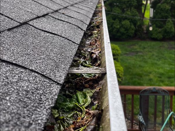 gutter cleaning service near me 196
